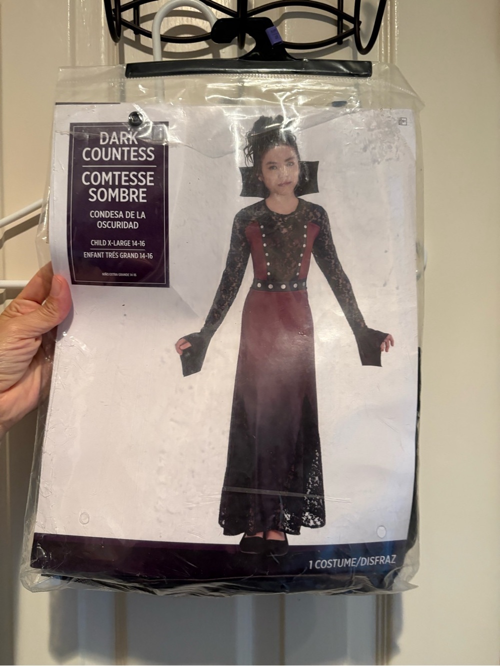 Girls' Halloween Dark Countess Costume
